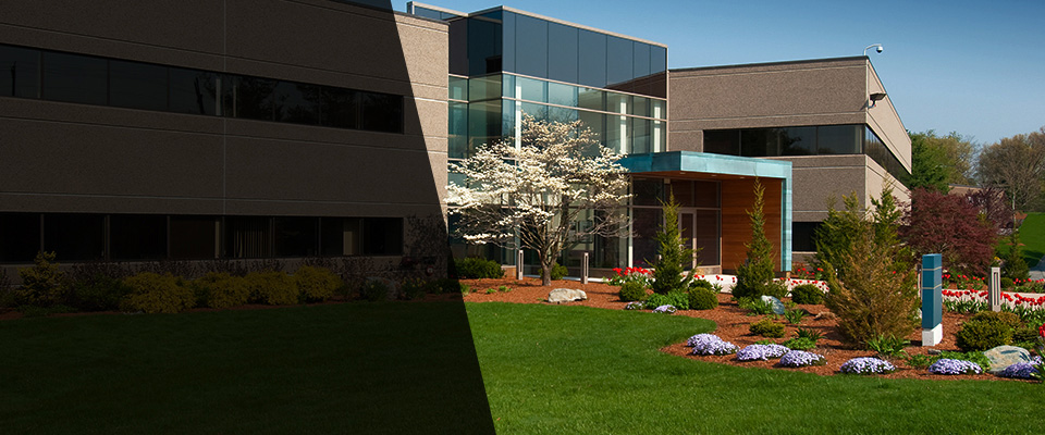 East Orange Landscapers