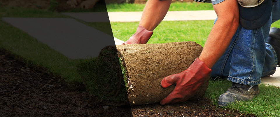 East Orange Landscapers